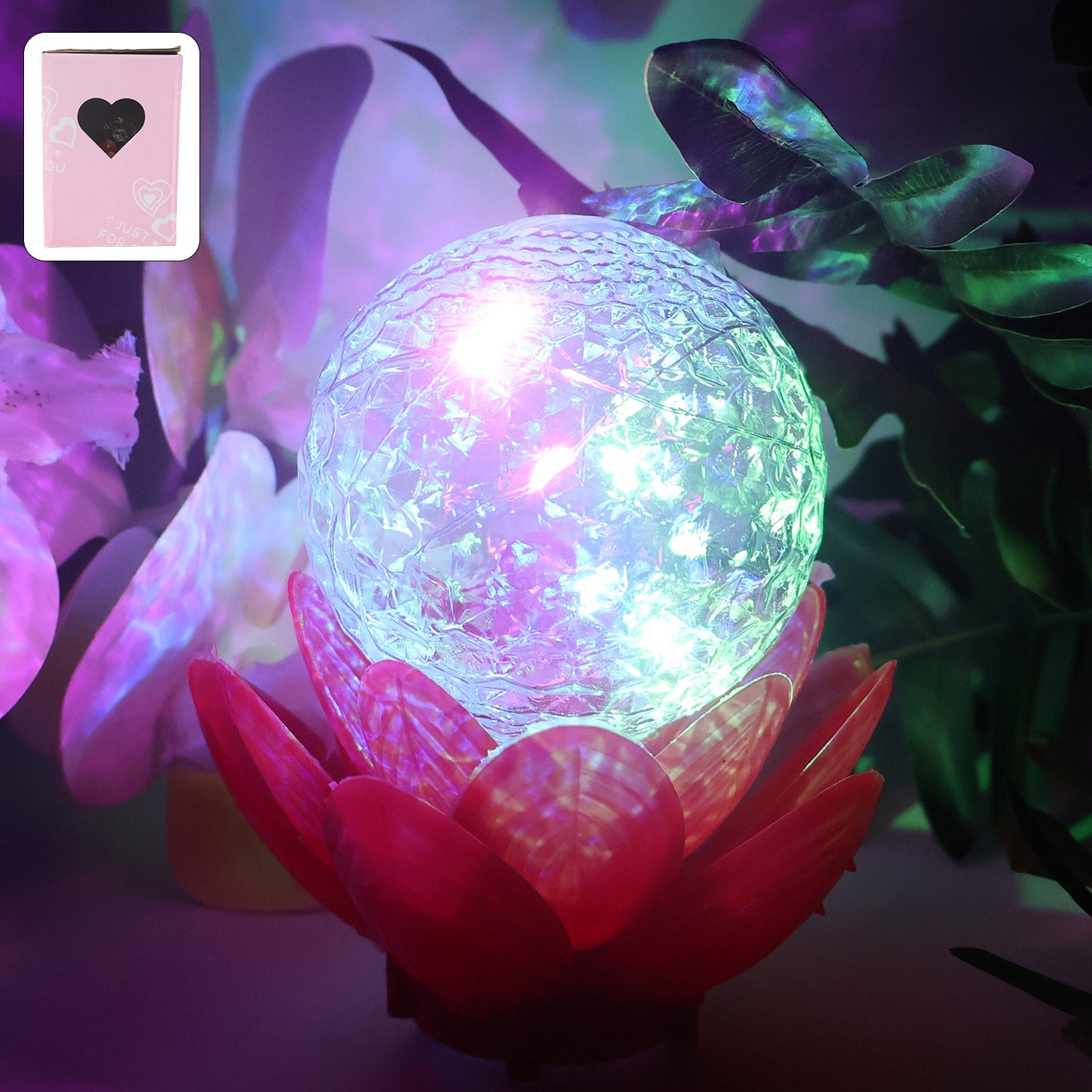 LED Decorative Accent Lamp